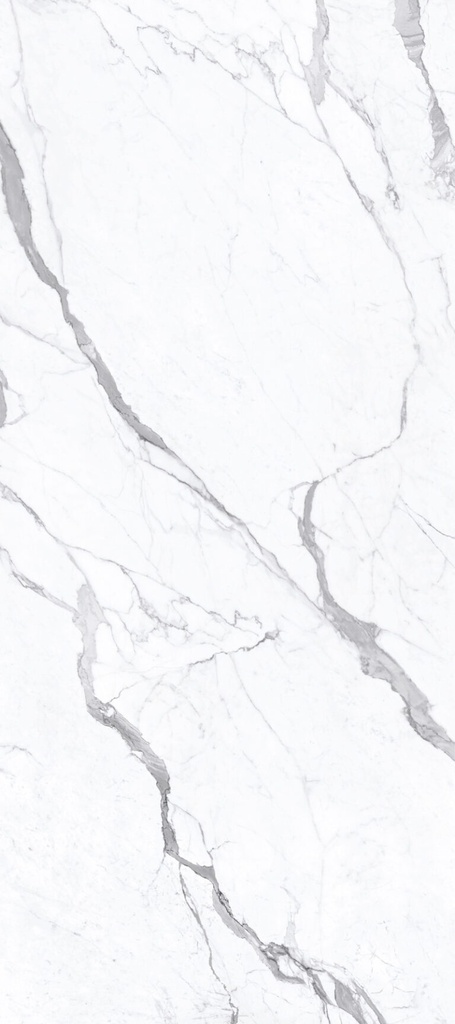 120X270 ENERGIEKER LASTRA STATUARIO SUPERIORE LUCIDO